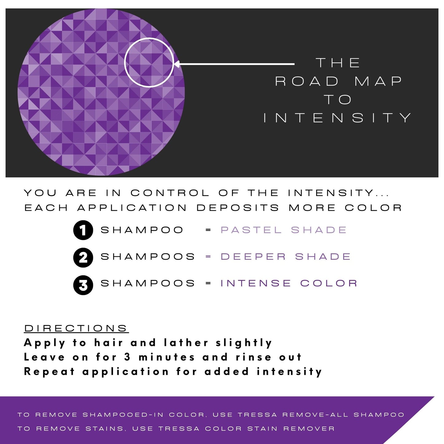 Watercolors Intense Shampoo | Purple 8 oz
