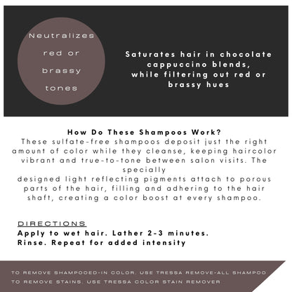 Watercolors Classic Shampoo | Mocha Drench 8.5 oz